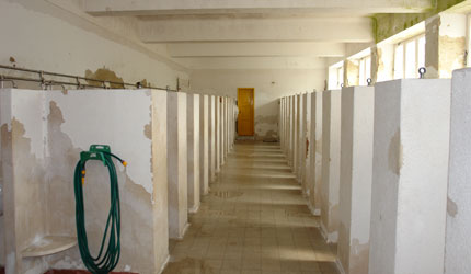 ESCOLA BÁSICA E SECUNDÁRIA GIL VICENTE