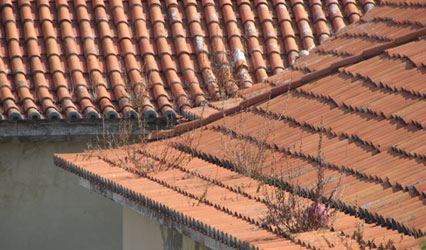 ESCOLA SECUNDÁRIA RAINHA DONA AMÉLIA