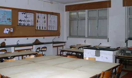 ESCOLA SECUNDÁRIA PEDRO ALEXANDRINO