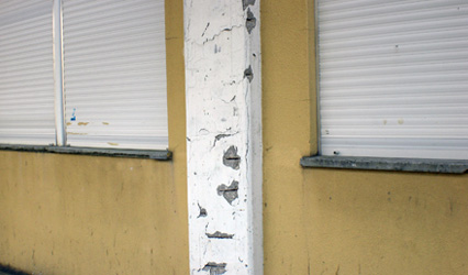 ESCOLA SECUNDÁRIA PEDRO ALEXANDRINO