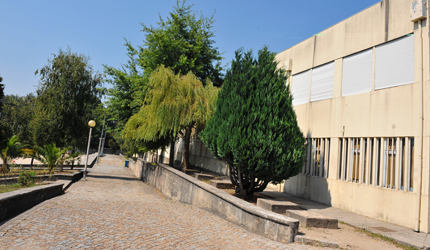 ESCOLA SECUNDÁRIA DE PAÇOS DE FERREIRA