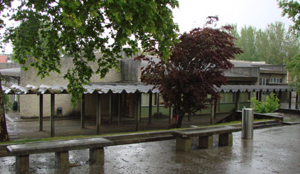 ESCOLA SECUNDÁRIA QUINTA DAS FLORES / CONSERVATÓRIO DE MÚSICA DE COIMBRA