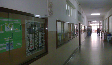 ESCOLA SECUNDÁRIA DOMINGOS SEQUEIRA