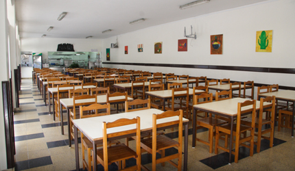ESCOLA SECUNDÁRIA D. SANCHO I