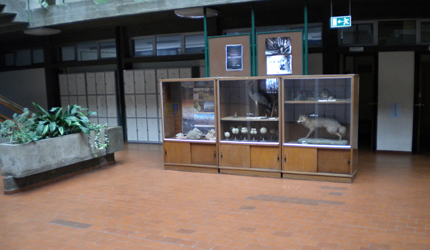 ESCOLA SECUNDÁRIA D. DINIS, SANTO TIRSO