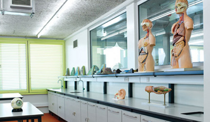 ESCOLA SECUNDÁRIA D. DINIS, LISBOA