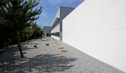 ESCOLA SECUNDÁRIA ROCHA PEIXOTO