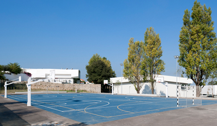ESCOLA SECUNDÁRIA GARCIA DE ORTA