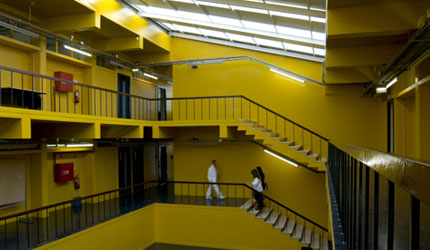 ESCOLA SECUNDÁRIA D. PEDRO V