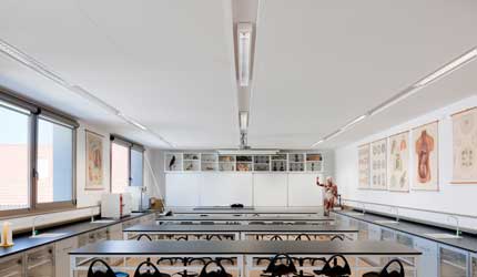 ESCOLA SECUNDÁRIA EMÍDIO NAVARRO, VISEU