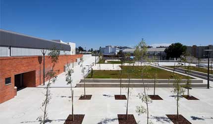 ESCOLA SECUNDÁRIA ANTÓNIO DAMÁSIO  (ES PROF. HERCULANO CARVALHO)