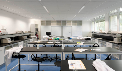 ESCOLA SECUNDÁRIA D. SANCHO II