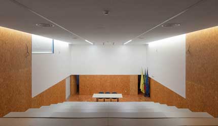 ESCOLA SECUNDÁRIA D. DINIS, SANTO TIRSO