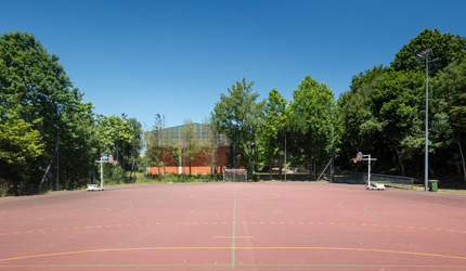 ESCOLA SECUNDÁRIA D. DINIS, SANTO TIRSO
