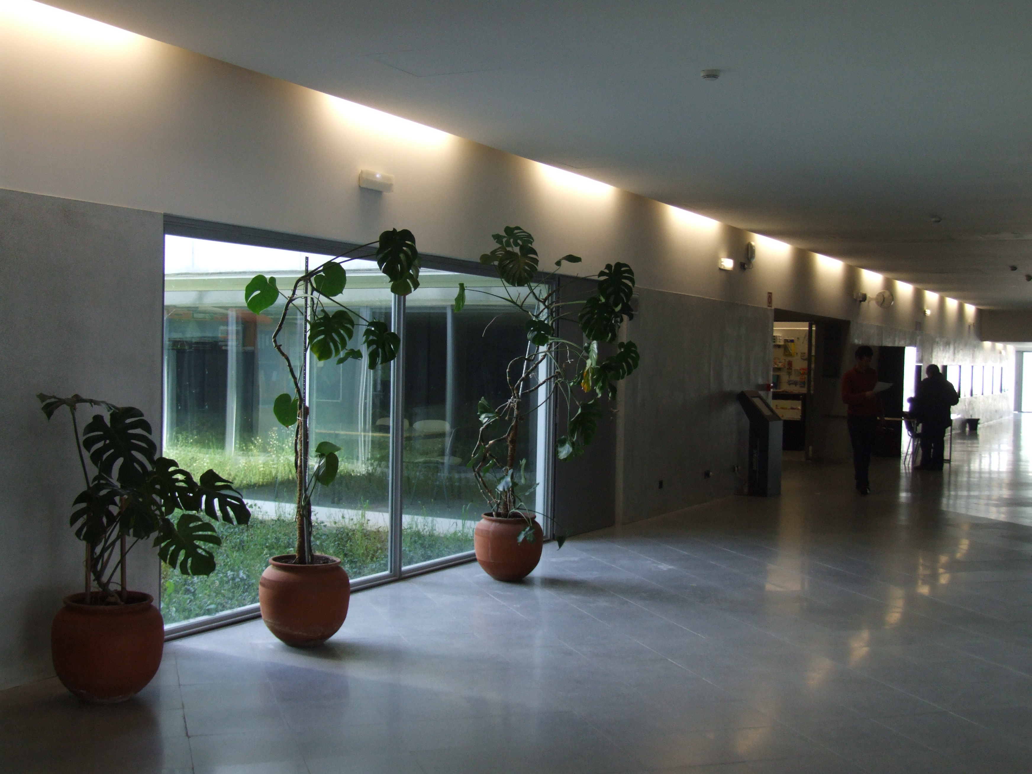 ESCOLA SECUNDÁRIA DR. JÚLIO MARTINS