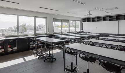 ESCOLA BÁSICA E SECUNDÁRIA D. MARTINHO VAZ DE CASTELO BRANCO